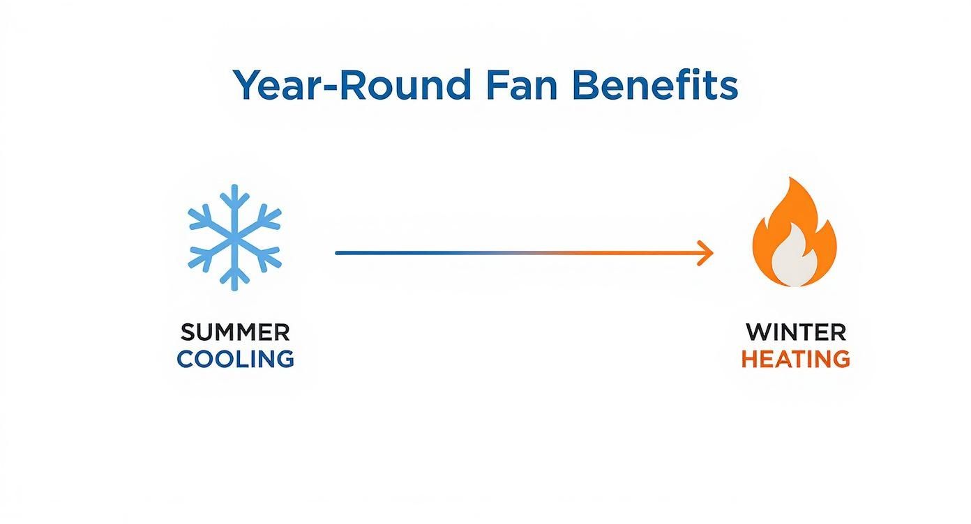 Infographic illustrating the year-round benefits of industrial ceiling fans, showing a snowflake for summer cooling and a flame for winter heating.