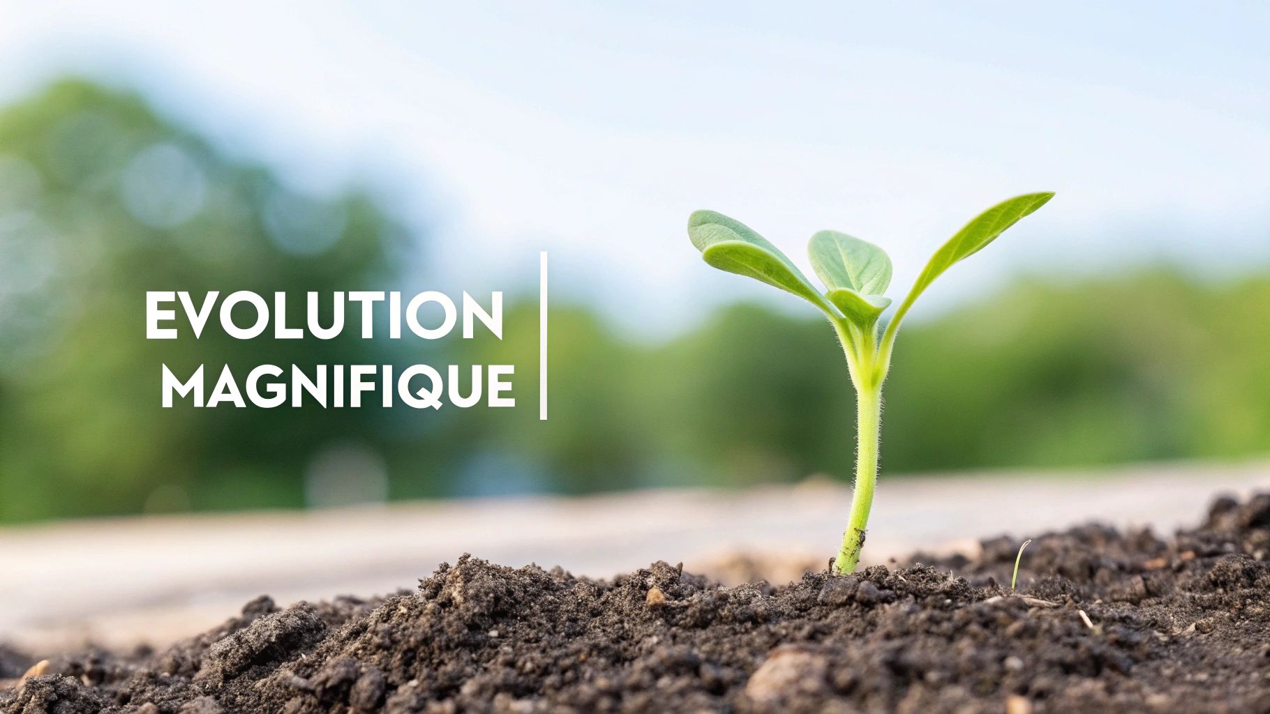 Ta présence illumine la vie des autres