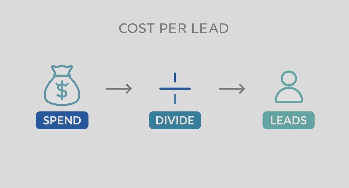 Infographic about what is cost per lead