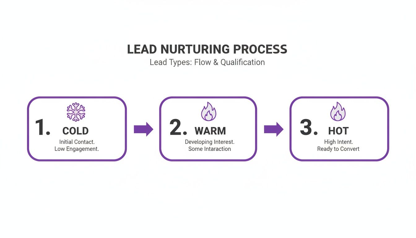 Diagram showing the lead nurturing process with cold, warm, and hot lead stages and descriptions.