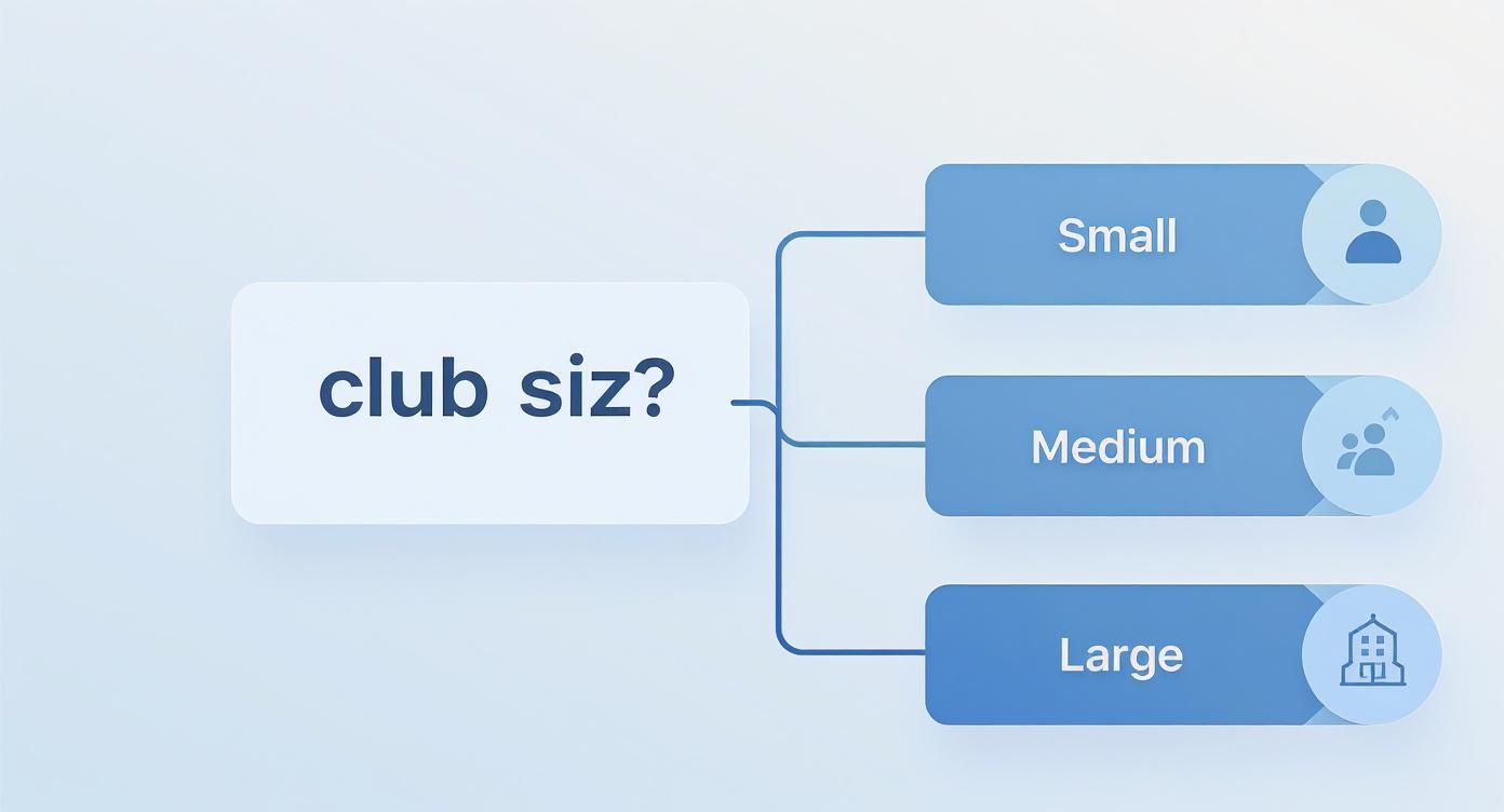Entscheidungsbaum zur Vereinssoftware, der Vereine nach Größe in klein, mittel und groß einteilt, um eine passende Software-Kategorie zu empfehlen.