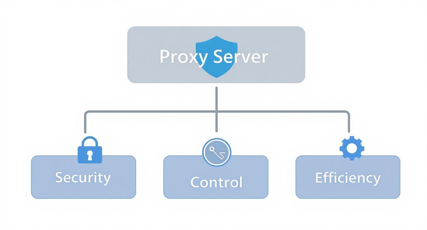 Infografik, die die Vorteile eines Proxy-Servers in einer Hierarchie darstellt, unterteilt in Sicherheit, Kontrolle und Effizienz.