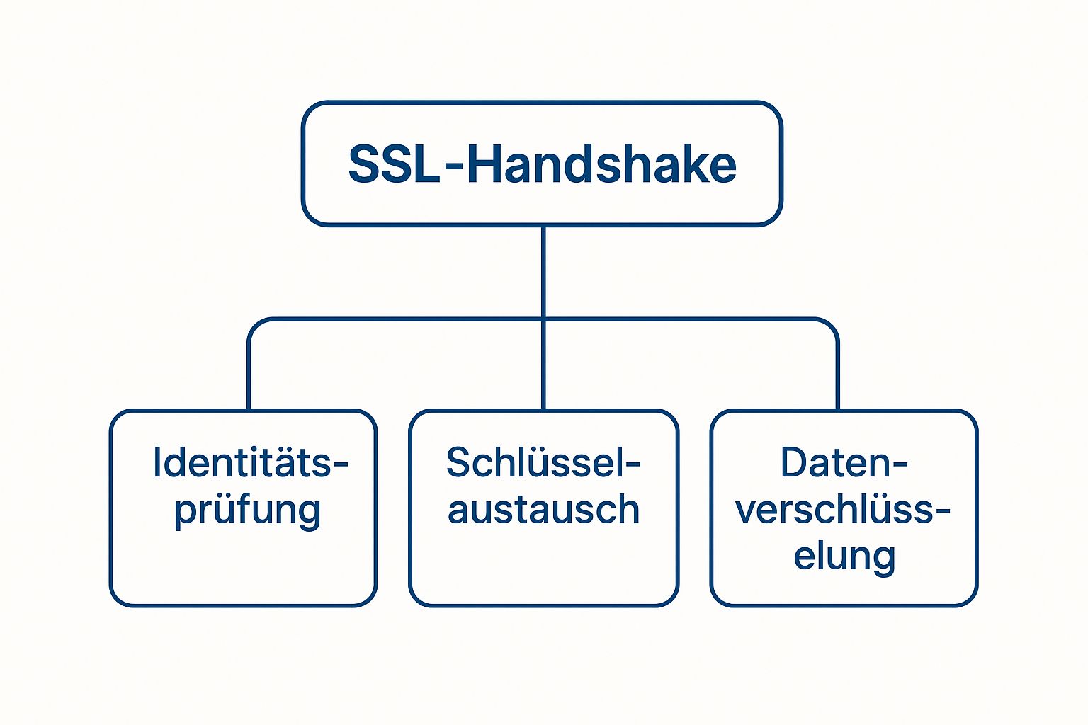 Infografik about was sind ssl zertifikate