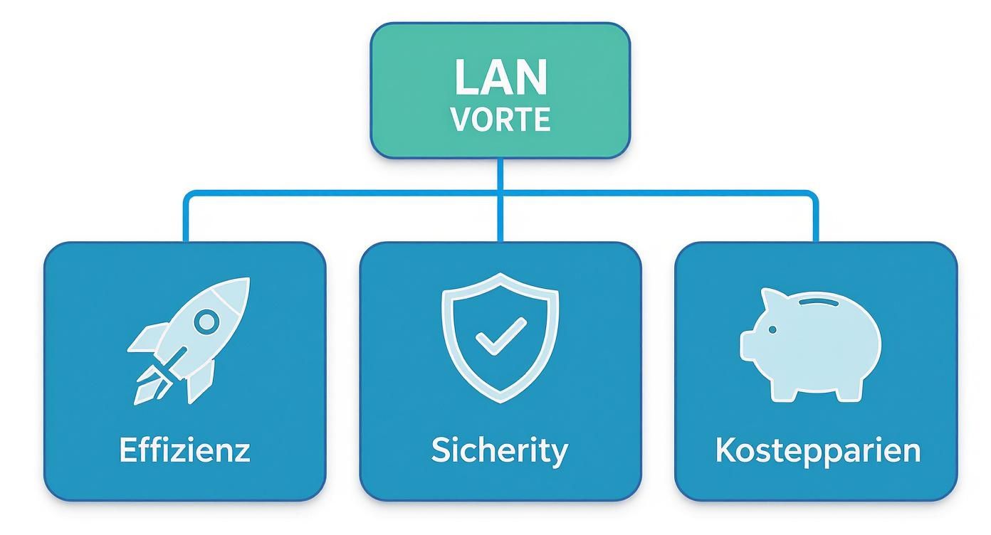 Infographic about was heißt lan