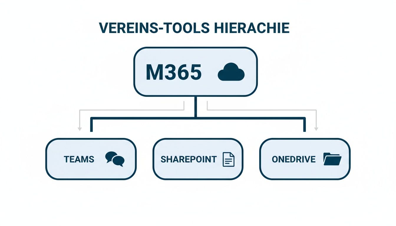 Hierarchische Darstellung von Microsoft 365 als Dach für Verein-Tools, inklusive Teams, SharePoint und OneDrive.
