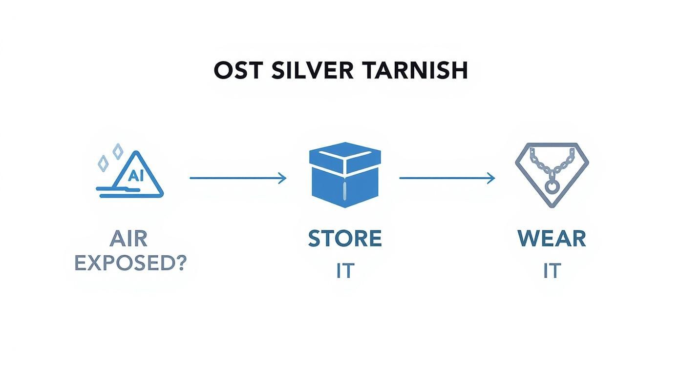Infographic about how to prevent silver from tarnishing