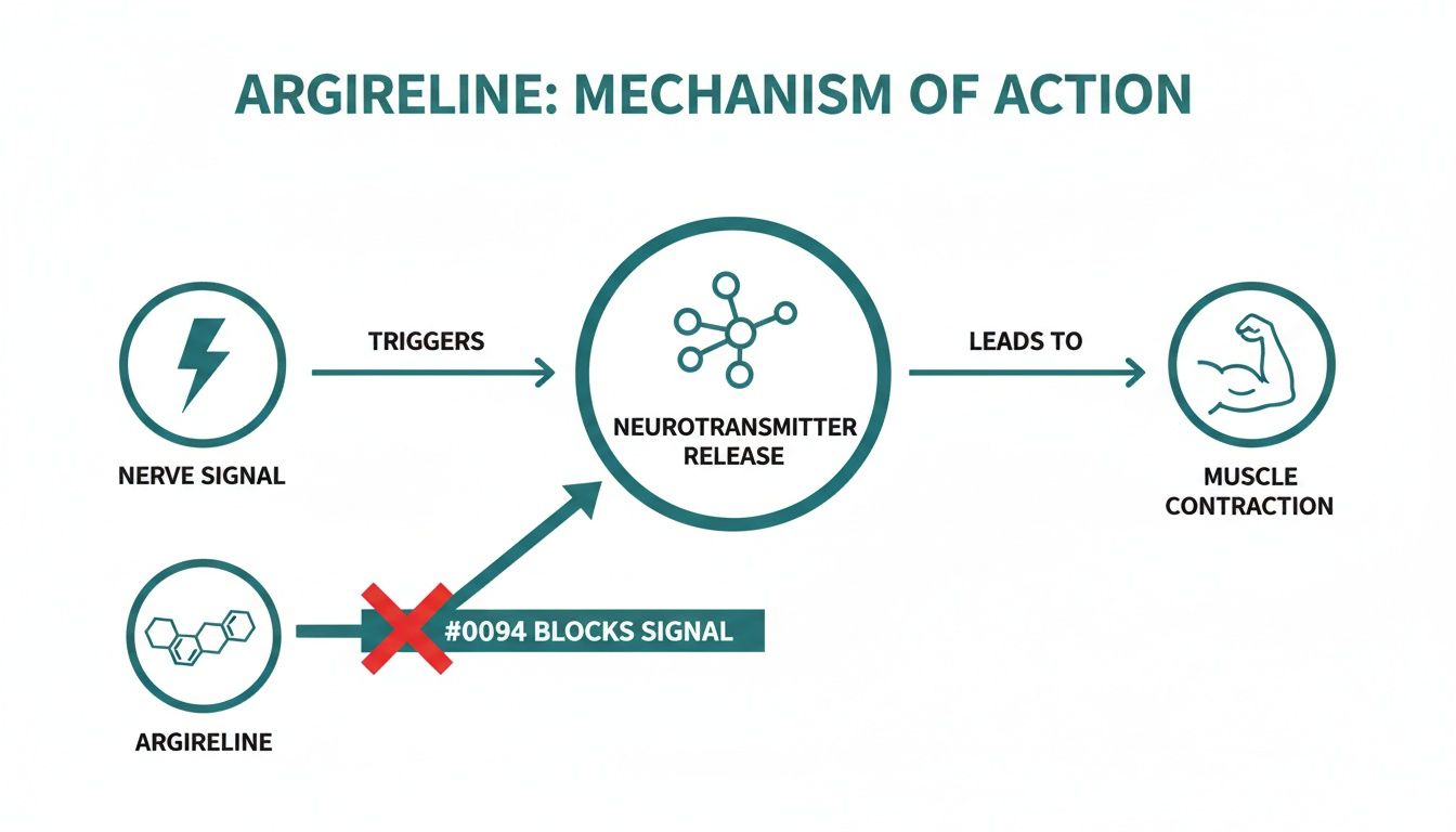 Diagram illustrating Argireline's mechanism of action by blocking nerve signals and muscle contraction.