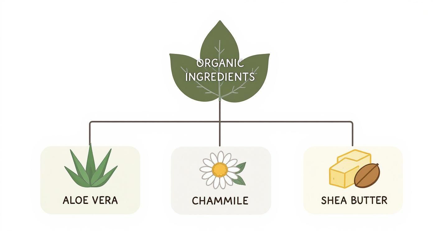 Infographic about organic skincare for sensitive skin