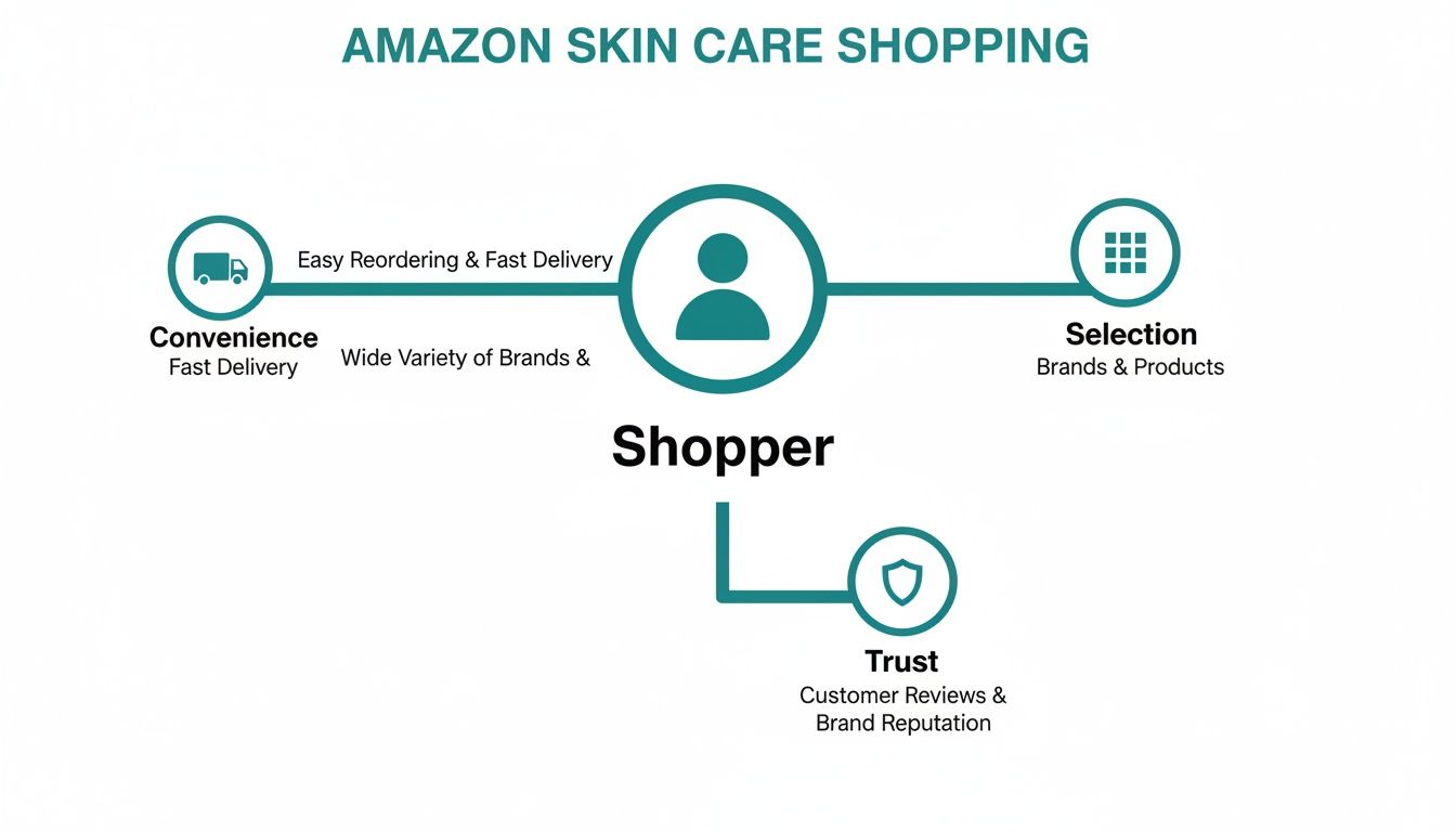 A diagram illustrating Amazon skin care shopping, highlighting convenience, selection of brands, and trust from reviews.