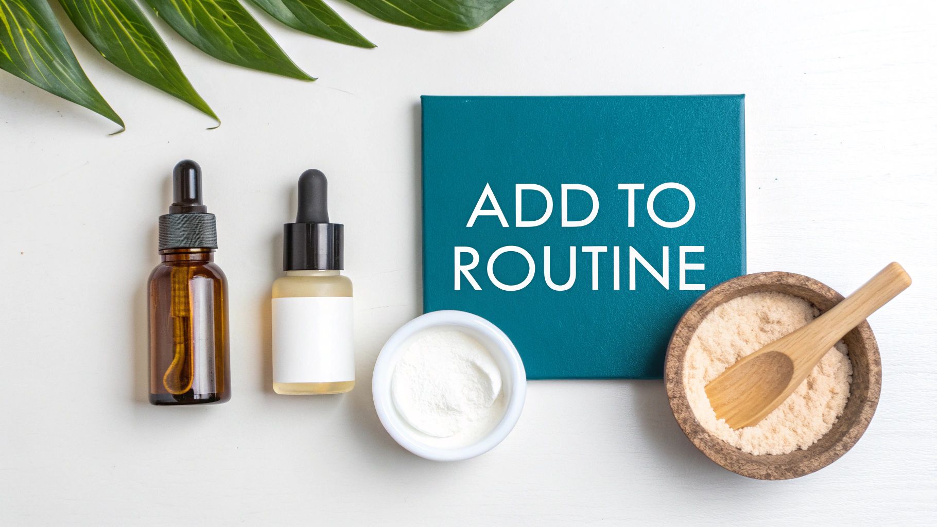 Overhead view of skincare products, powders, green leaves, and a 'ADD TO ROUTINE' sign.