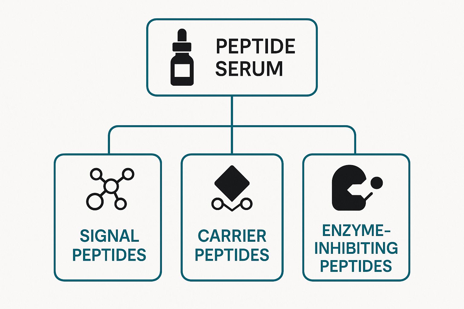 Collagen Peptides