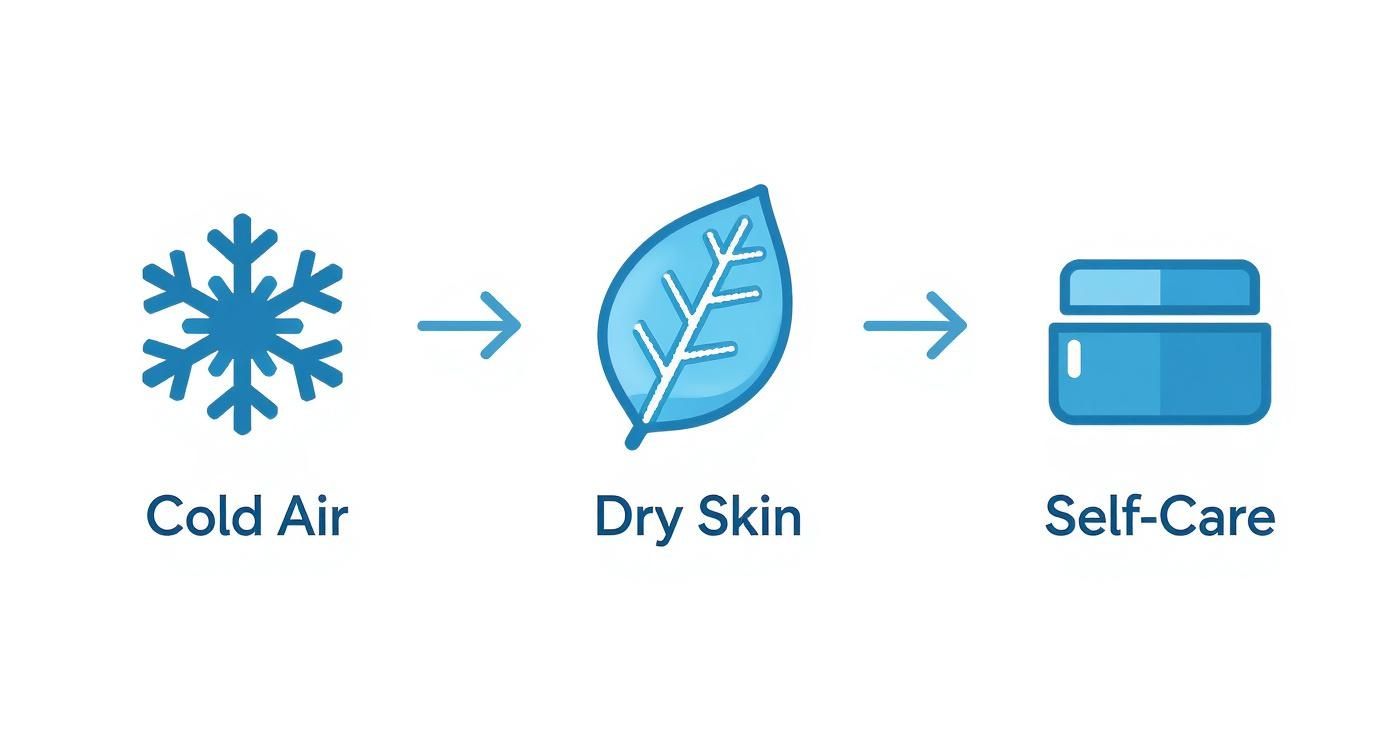 A diagram illustrating cold air leading to dry skin, followed by self-care with a cream jar.