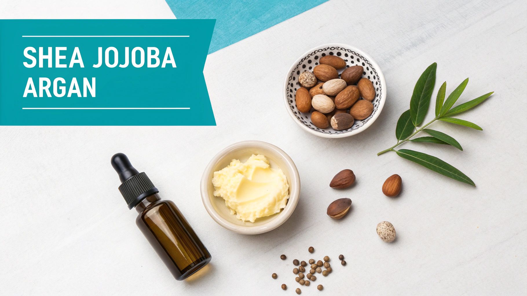 A flat lay of natural ingredients like shea nuts, shea butter, argan nuts, and a dropper bottle, highlighting 'SHEA JOJOBA ARGAN'.