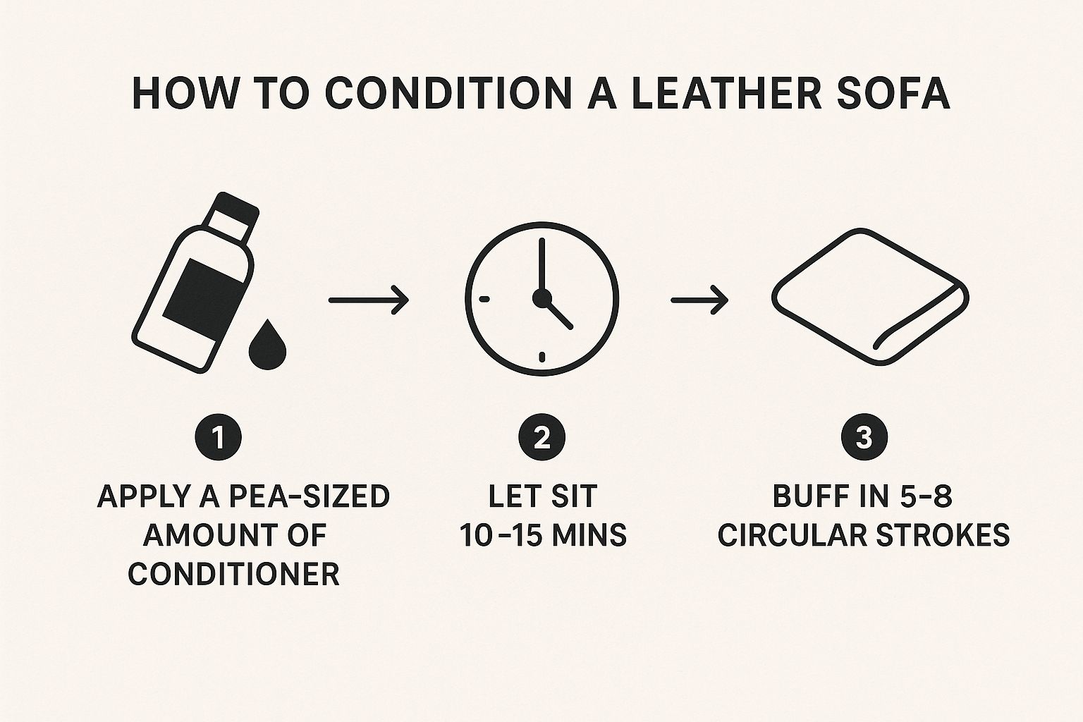 Infographic about how to condition leather sofa
