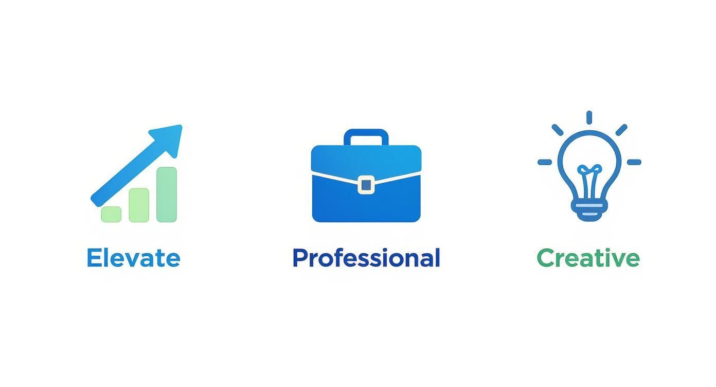 Infographic about video background changer online free