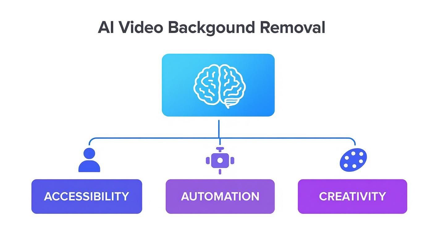 Infographic about ai video background remover