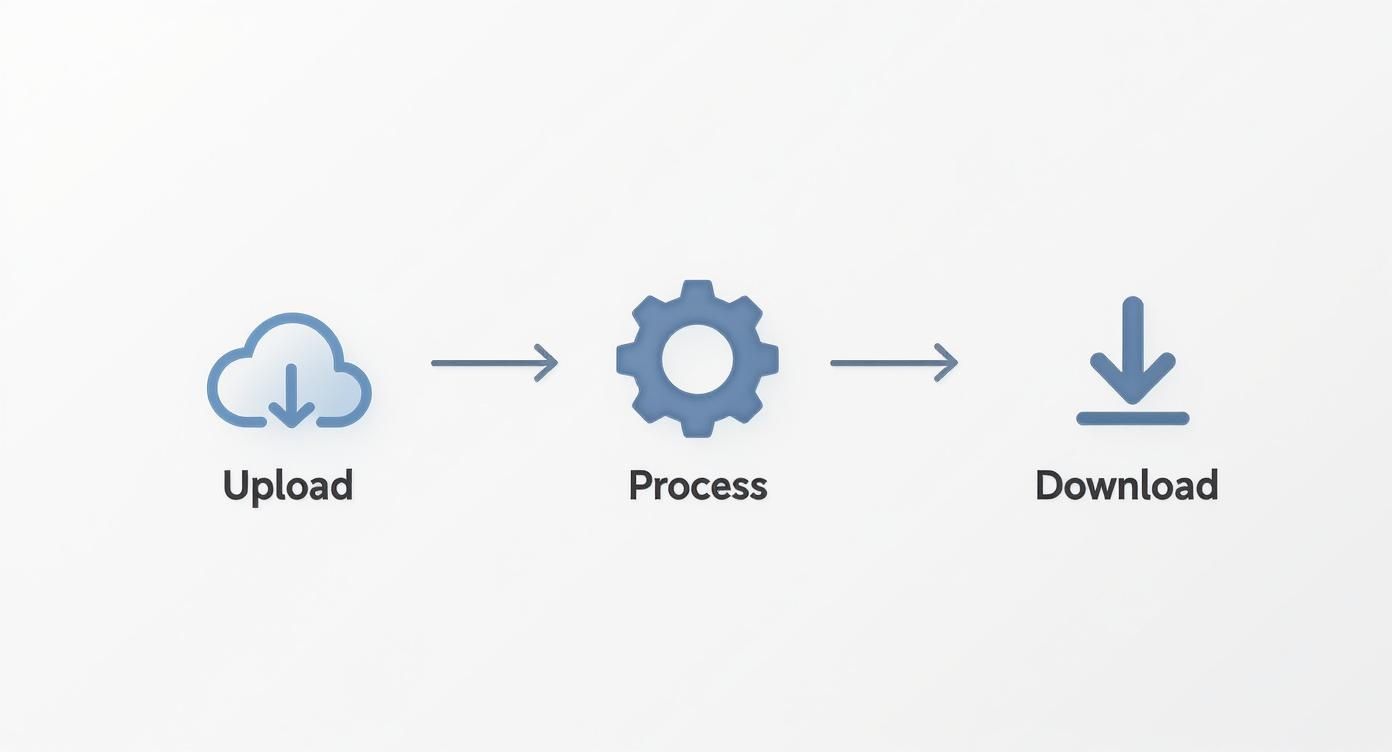 Infographic showing the three-step process to remove a video background online: Upload, Process, and Download.