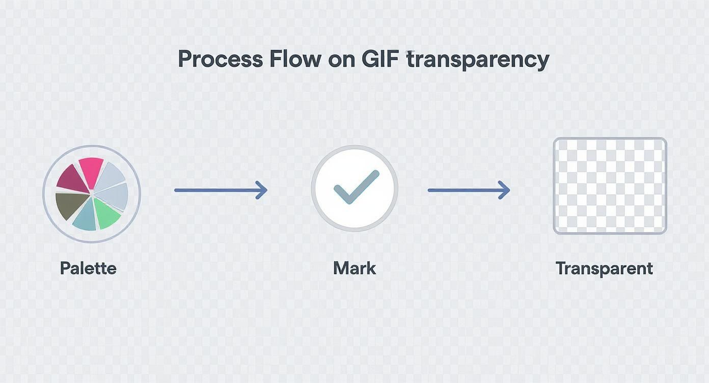Infographic about how to make gif transparent