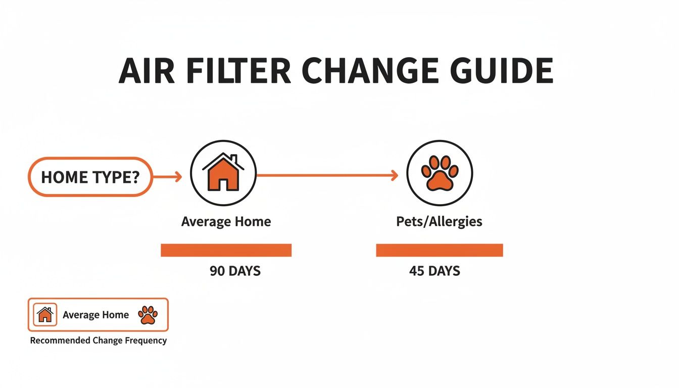 Guide showing recommended air filter change frequency for average homes (90 days) and homes with pets/allergies (45 days).