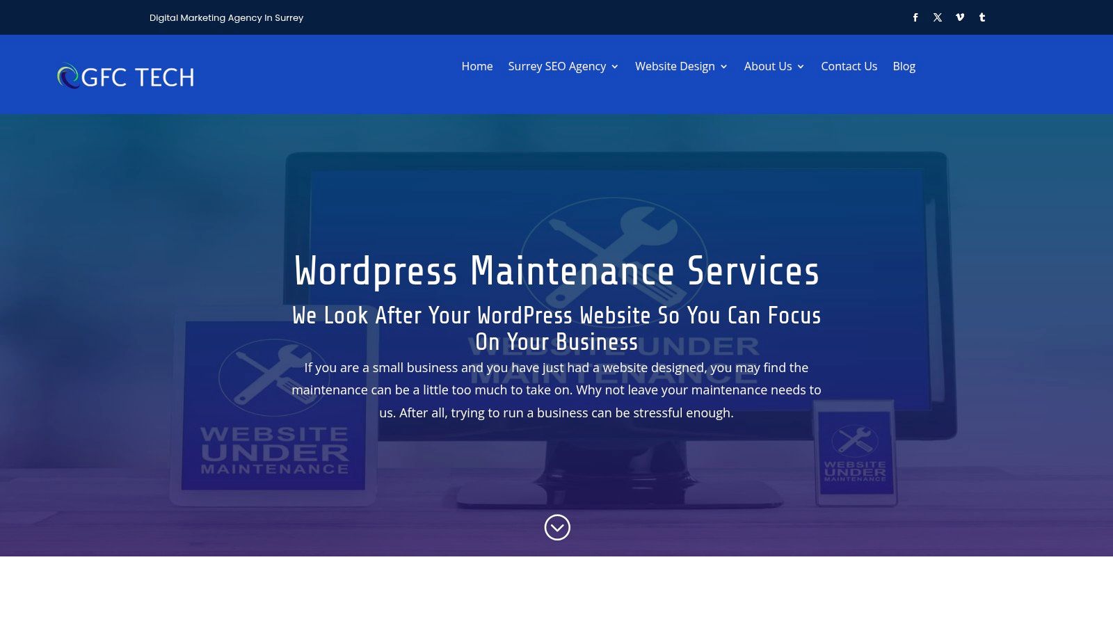 Wordpress Maintenance Services
