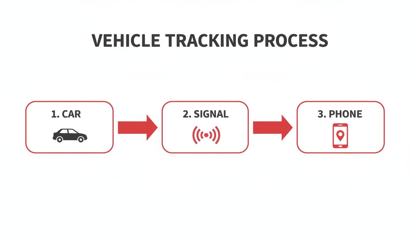 Your Guide to a Real Time Location Tracker for Your Car