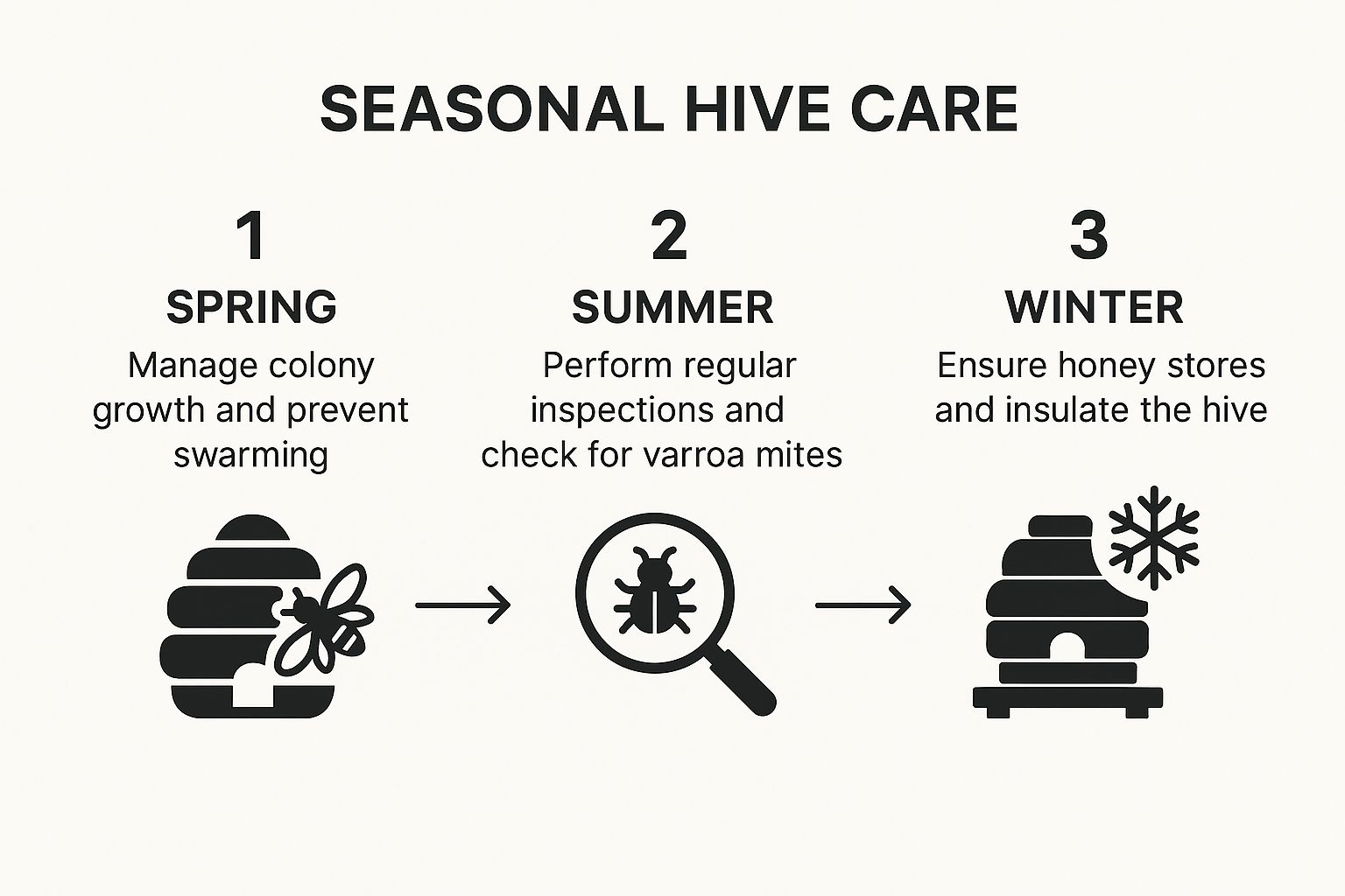 Infographic about raising bees in your backyard Infographic about raising bees in your backyard