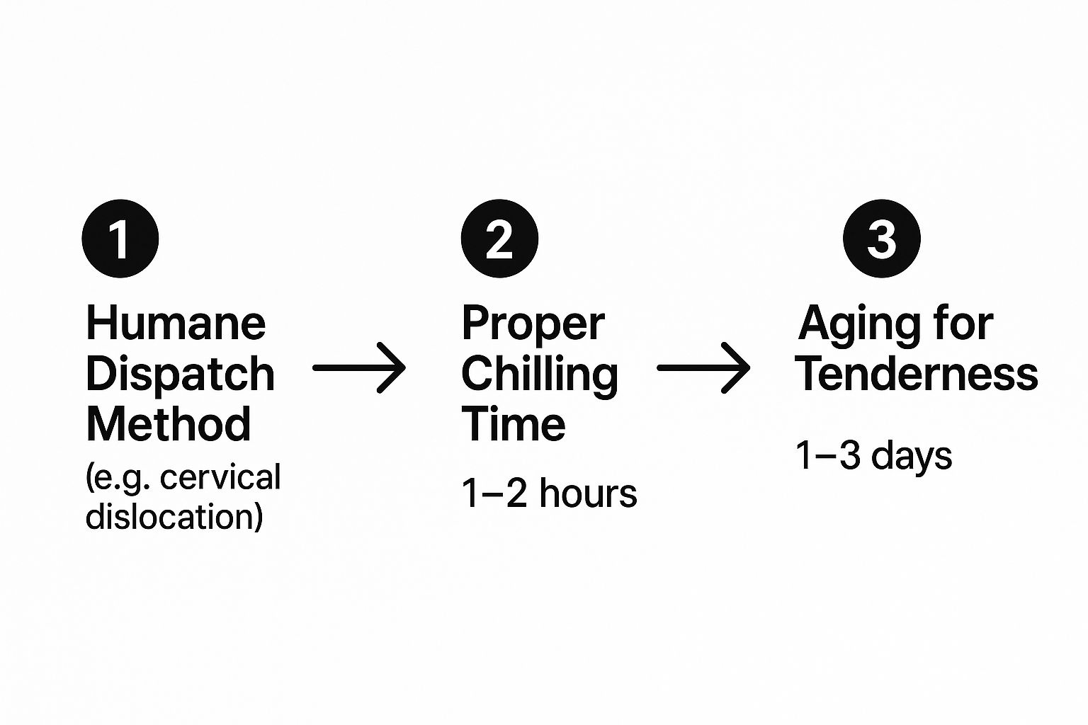 Infographic outlining the three-step process of humane dispatch, proper chilling, and aging rabbit meat for tenderness. Infographic outlining the three-step process of humane dispatch, proper chilling, and aging rabbit meat for tenderness.