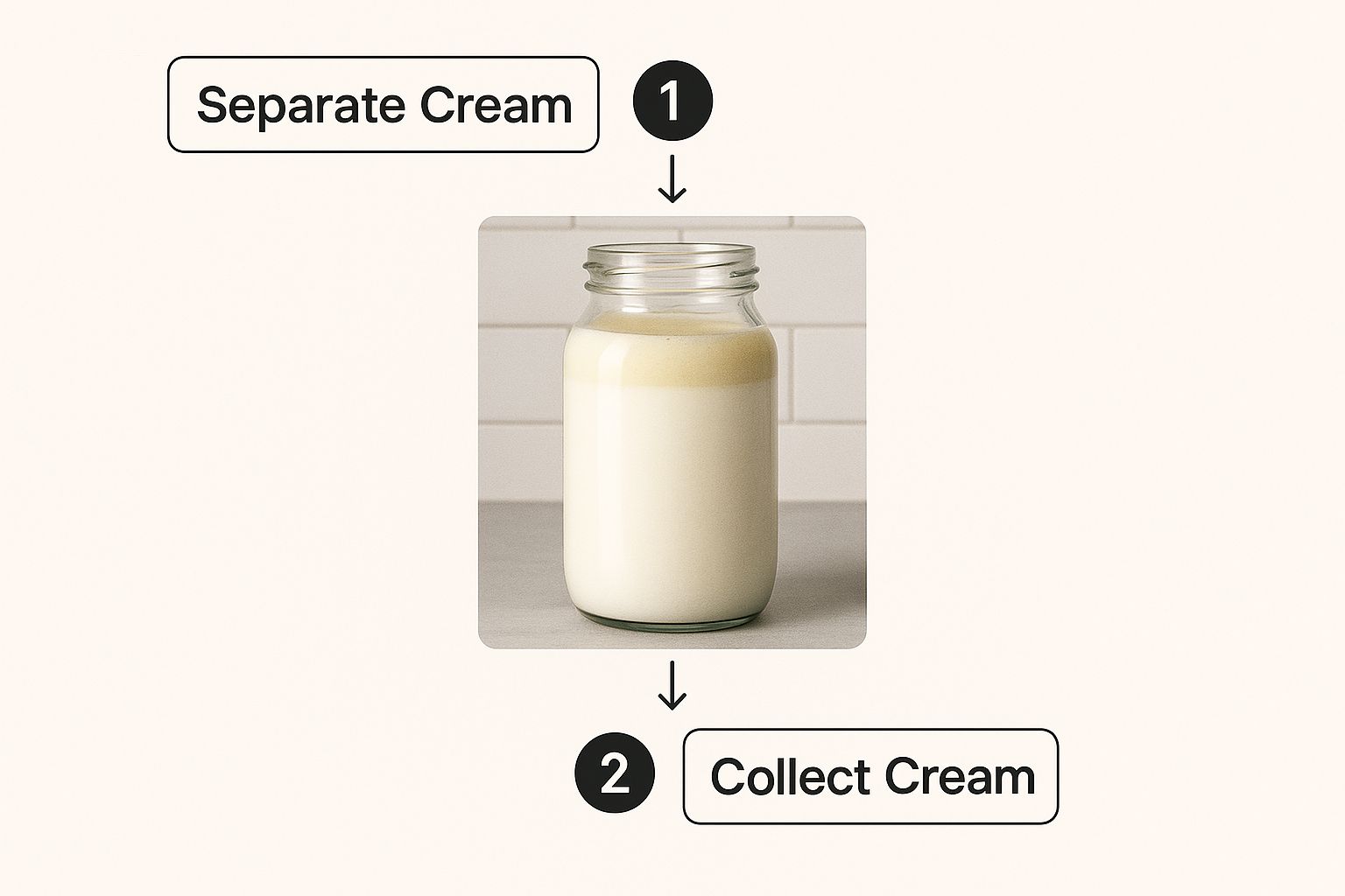Infographic about making butter from whole milk Infographic about making butter from whole milk