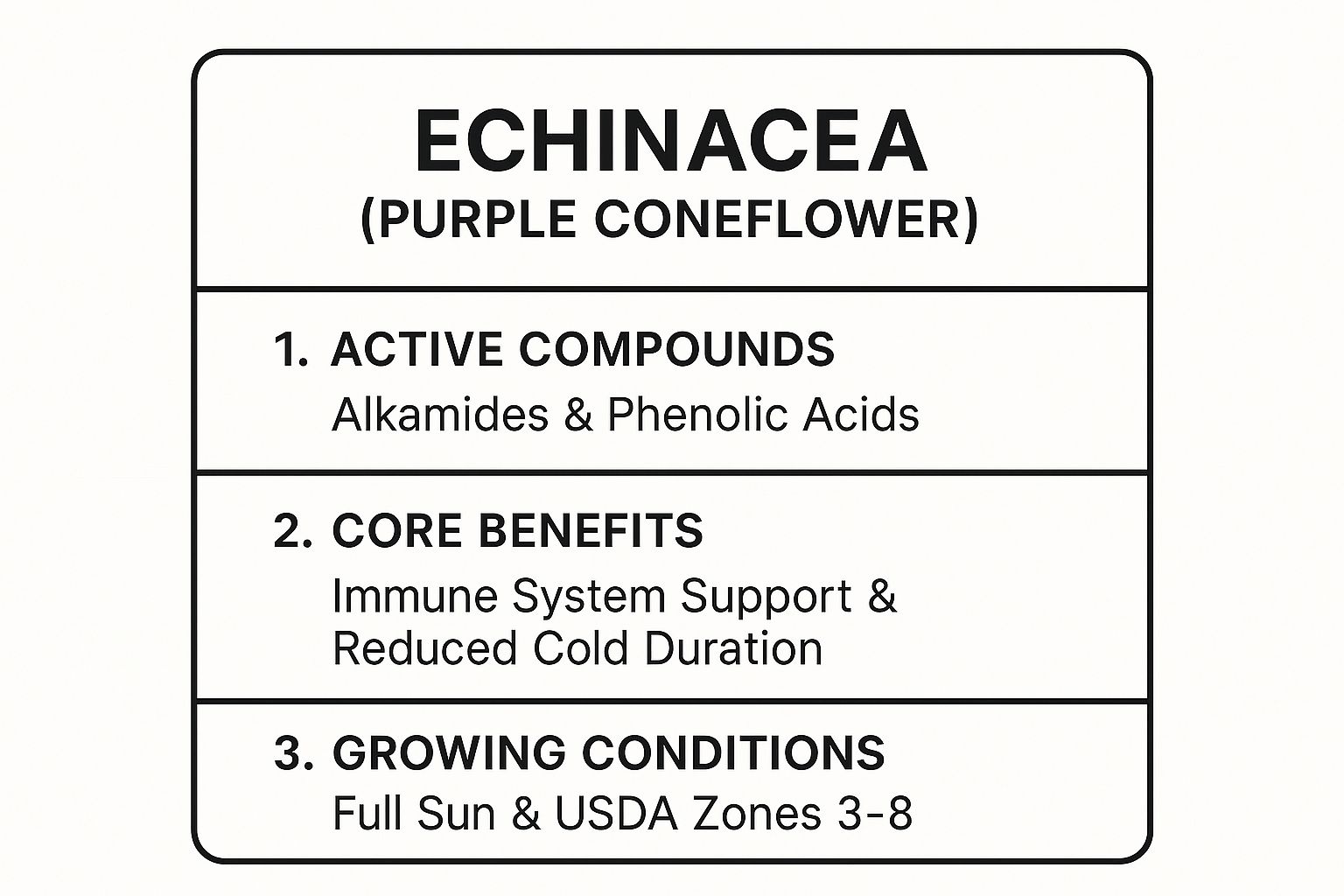Infographic showing key data about Echinacea (Purple Coneflower) Infographic showing key data about Echinacea (Purple Coneflower)