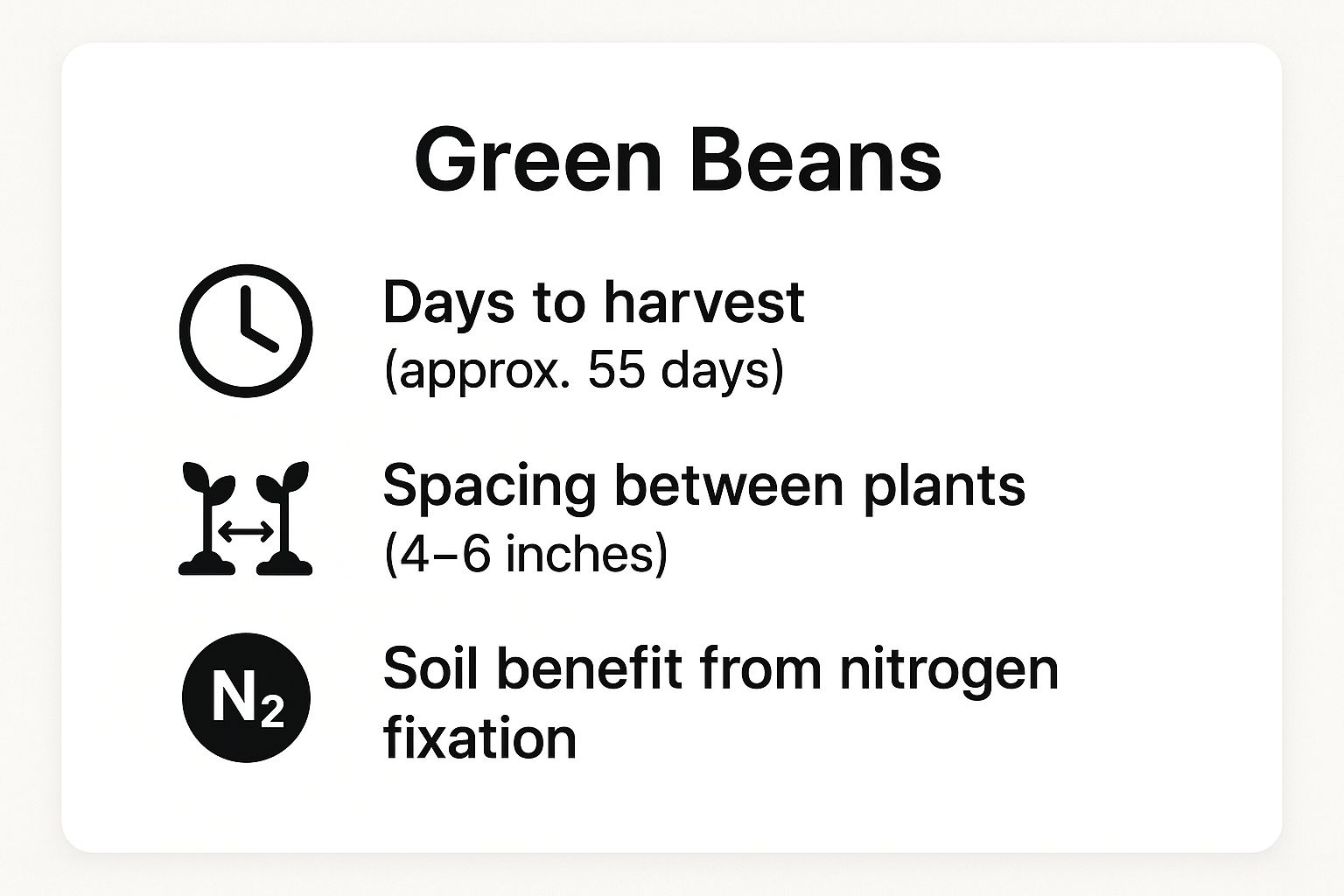 Infographic showing key data about Green Beans Infographic showing key data about Green Beans