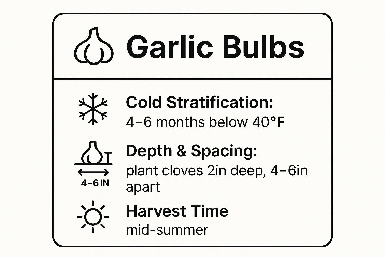 Infographic showing key data about Garlic Bulbs