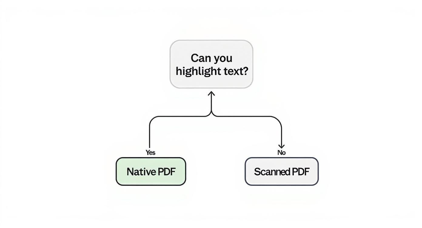 Flowchart asks 'Can you highlight text?', leading to 'Native PDF' for yes and 'Scanned PDF' for no.