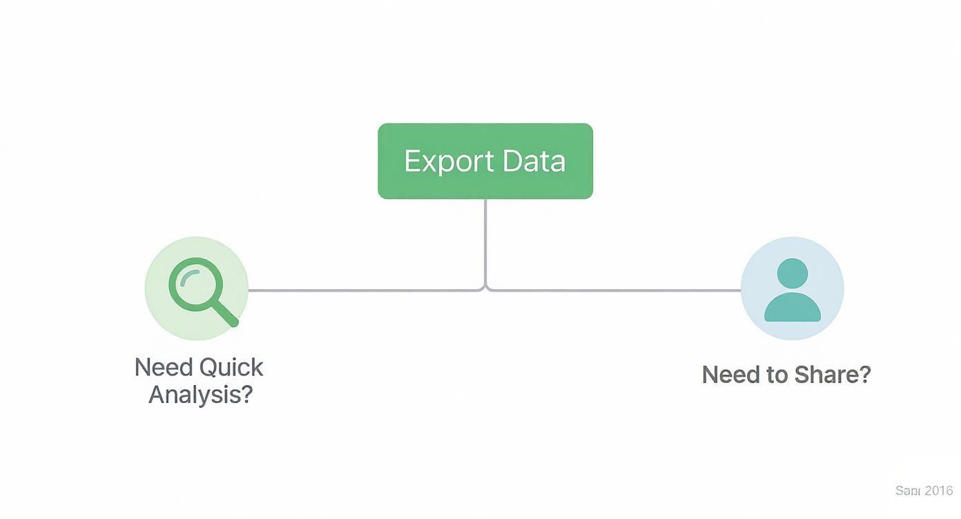 Infographic about database to excel