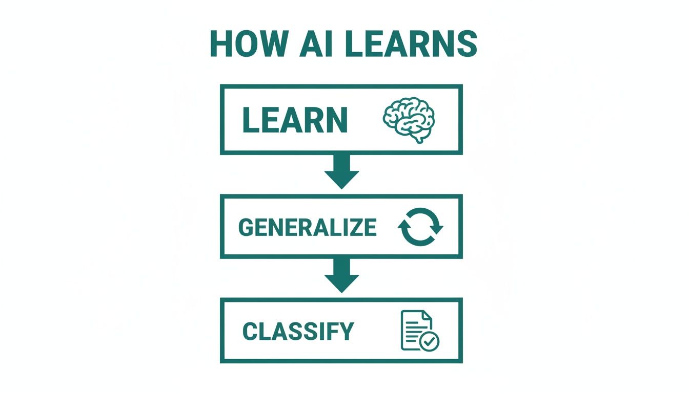 A flowchart titled 'HOW AI LEARNS' showing three steps: learn, generalize, and classify.