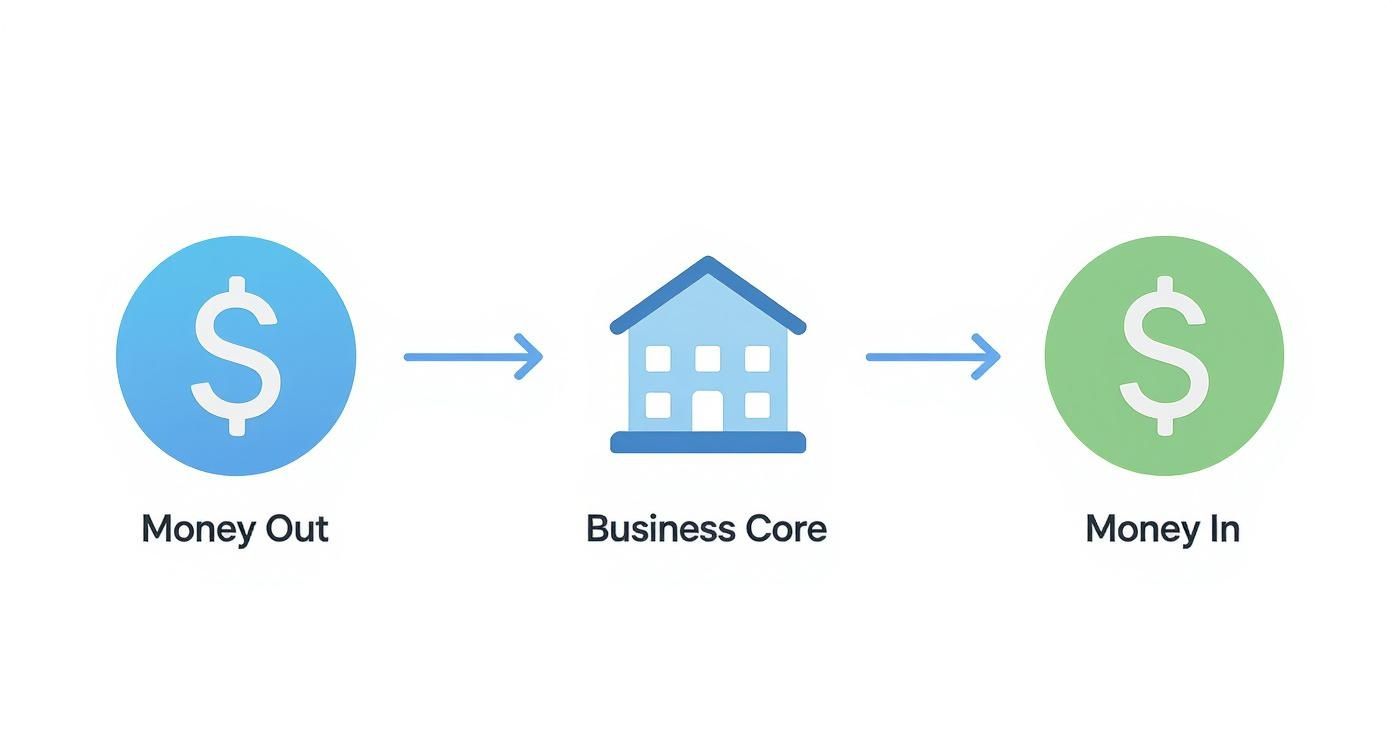 Infographic about accounts payable accounts receivable