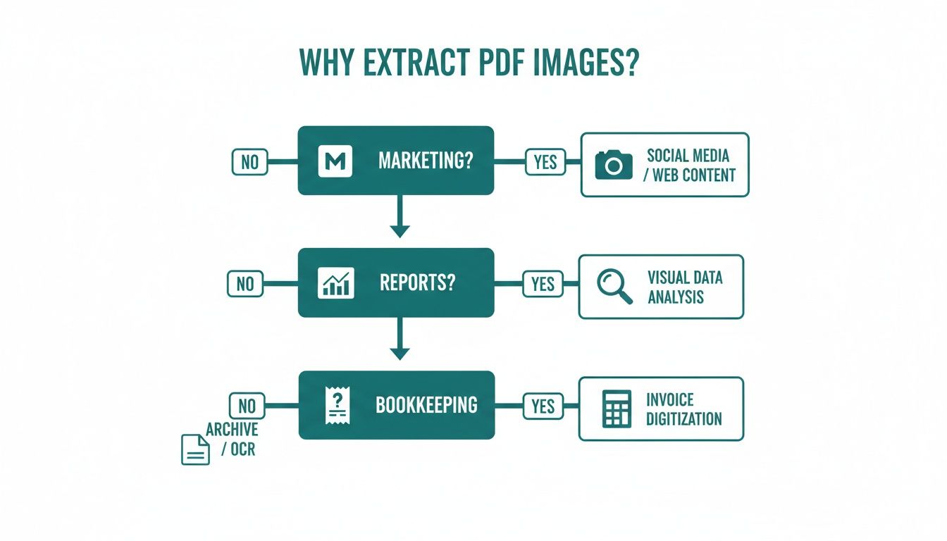 Flowchart detailing reasons to extract PDF images for marketing, reports, and bookkeeping purposes.