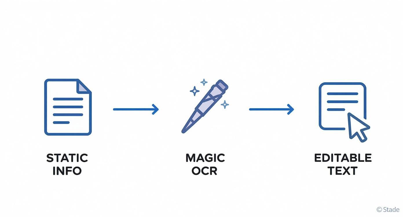 A diagram illustrating the conversion of static document information into editable text using magic OCR.
