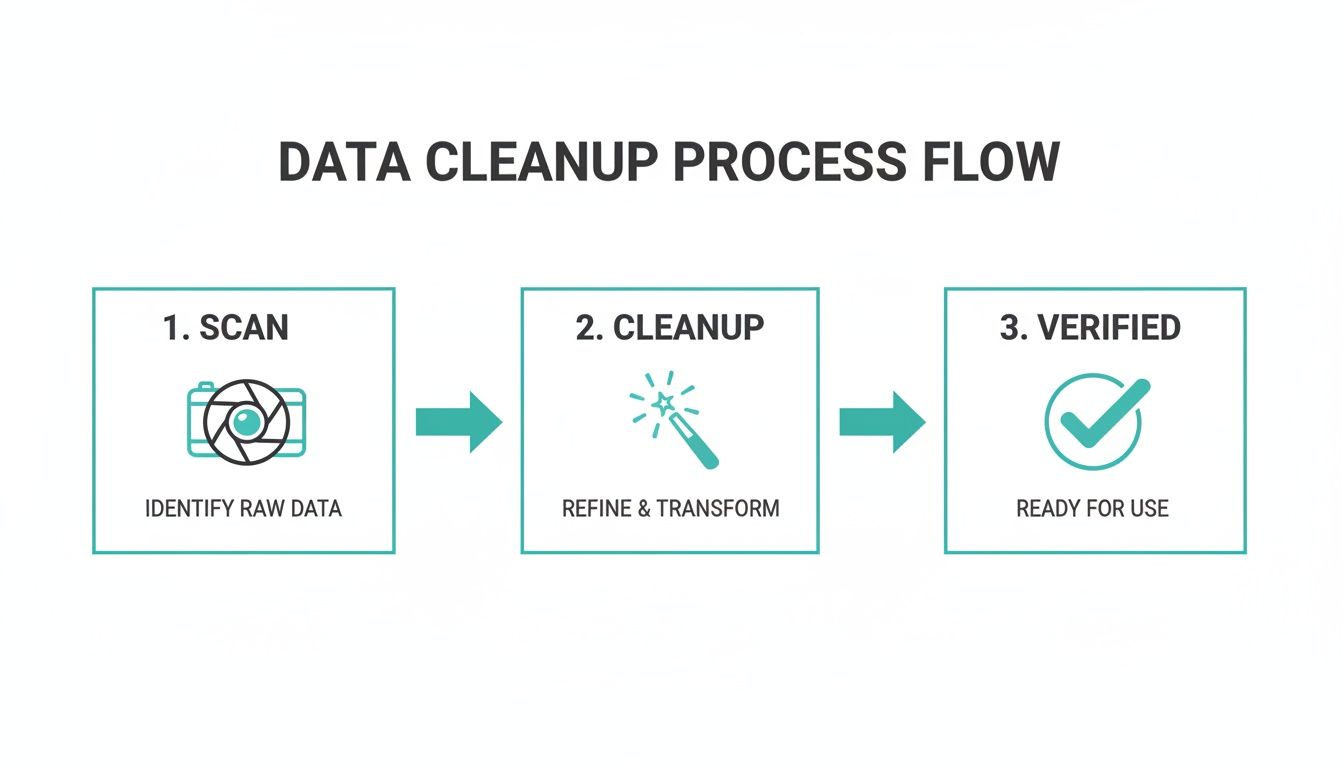 Data cleanup process flow diagram illustrating three steps: Scan, Cleanup, and Verified for use.