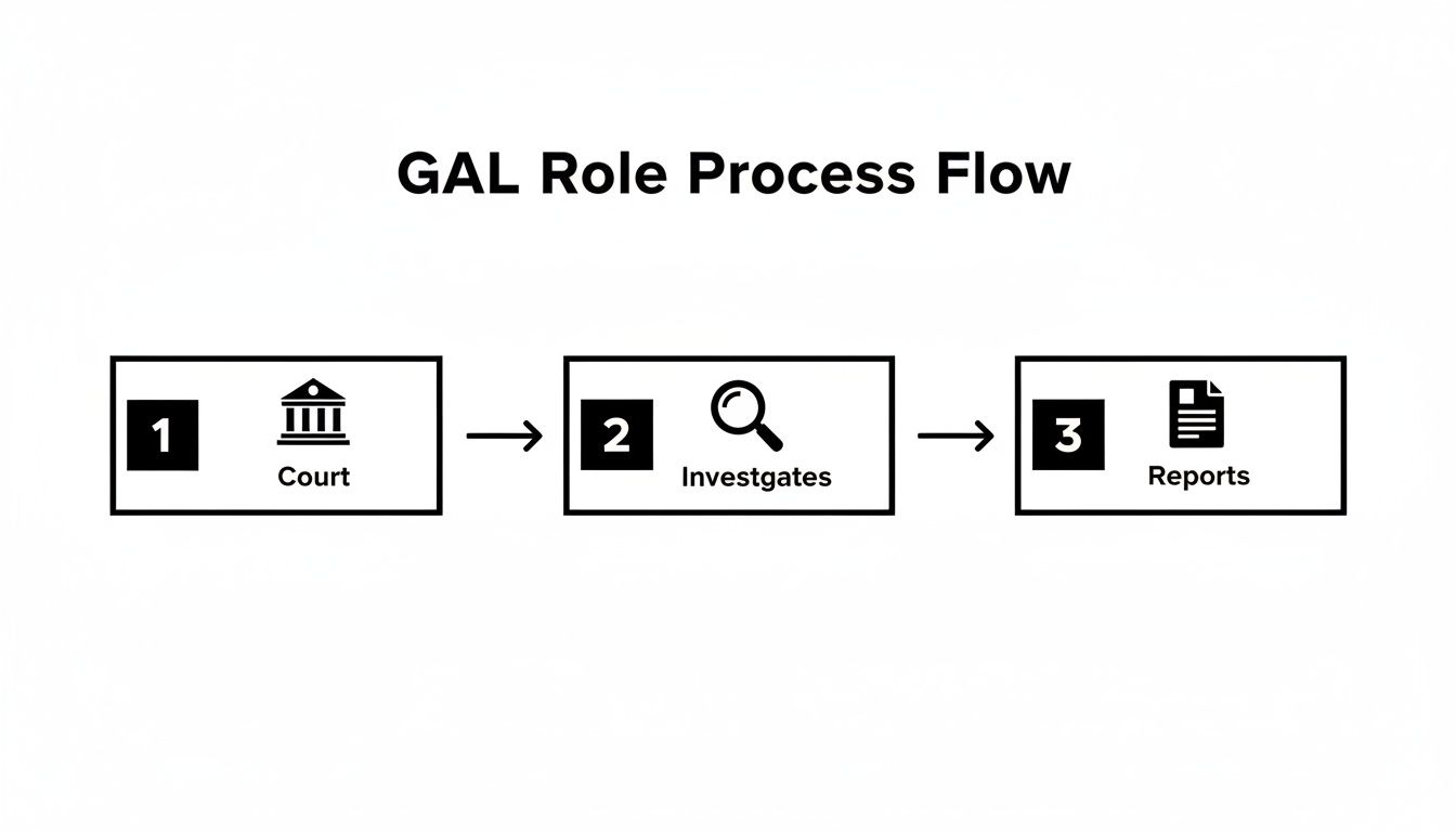 Flowchart illustrating the GAL (Guardian Ad Litem) role process: Court, Investigates, and Reports.