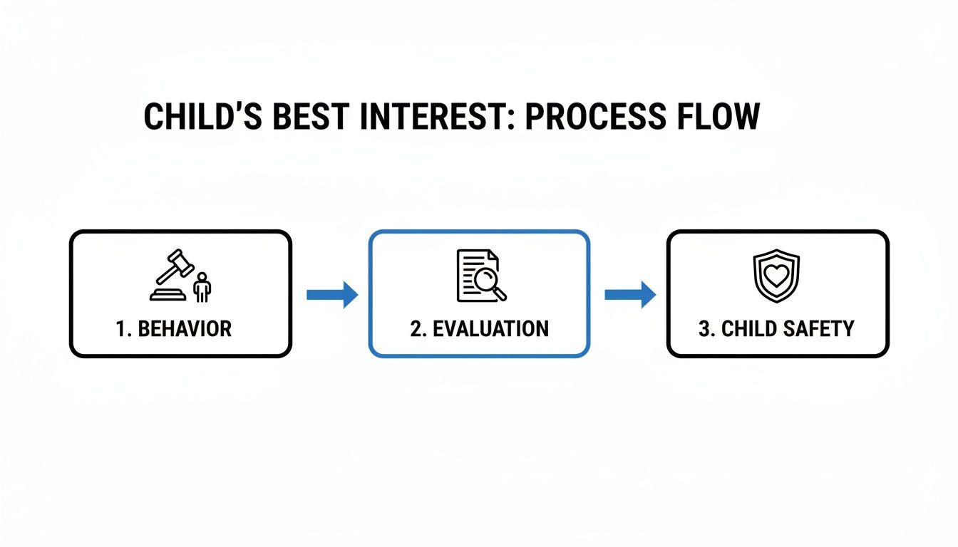 A process flow diagram illustrates steps for a child's best interest: behavior, evaluation, and child safety.