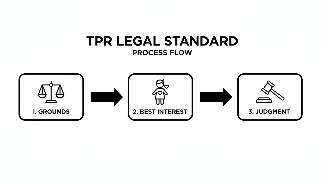 Process flow diagram illustrating the three steps of the TPR legal standard: Grounds, Best Interest, Judgment.
