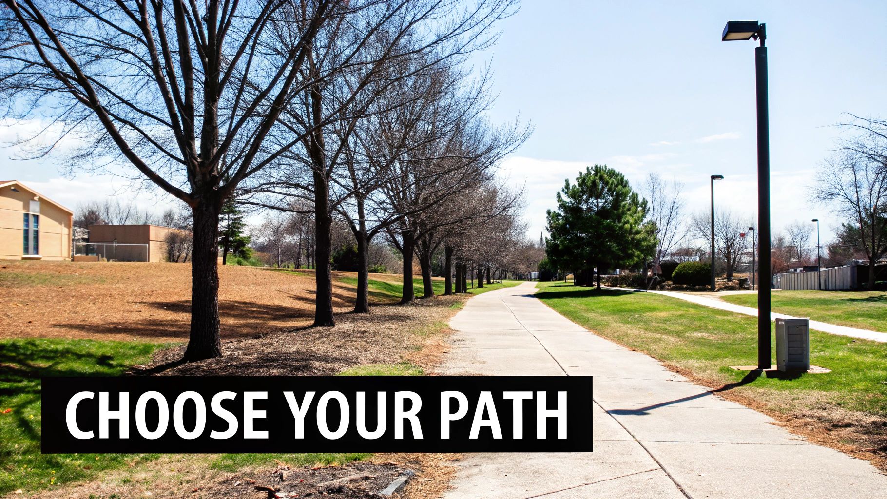 A winding concrete walking path through a park, lined with bare trees, symbolizing choice and direction.