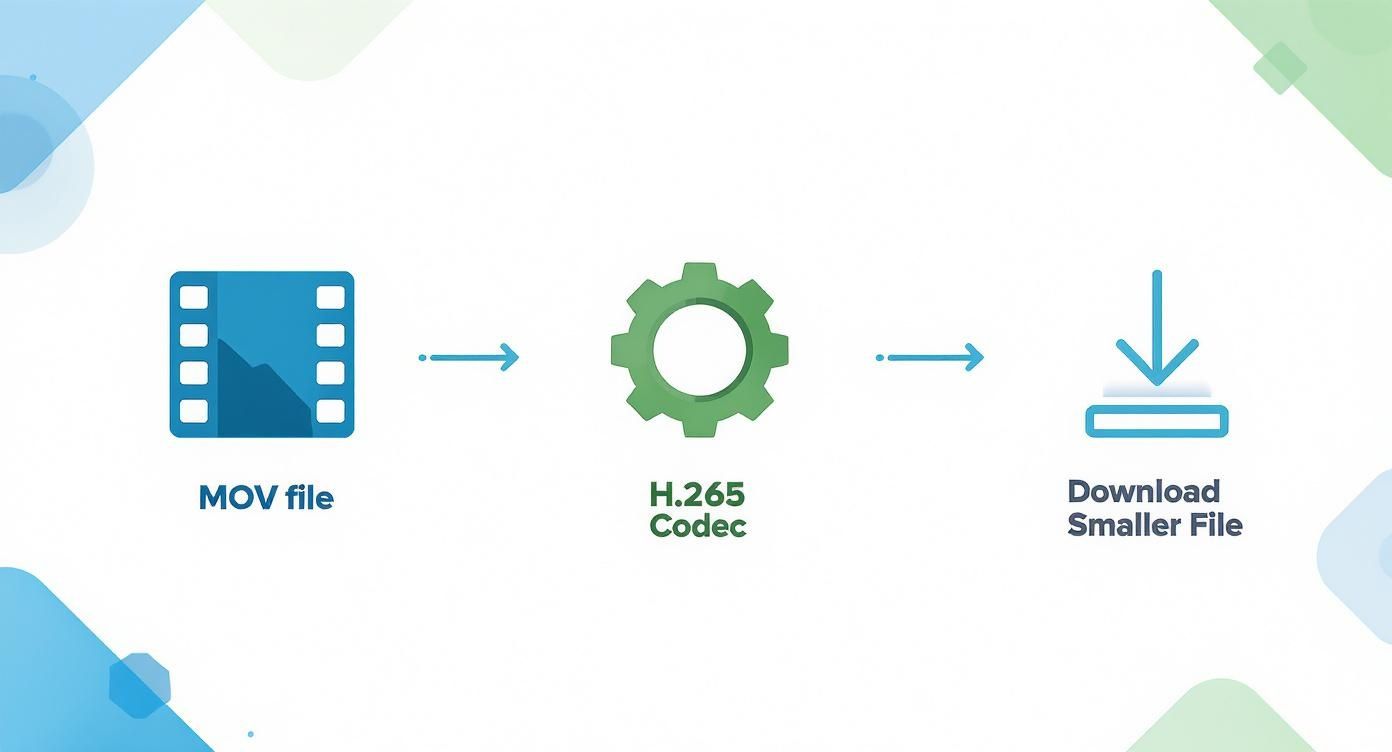 Diagram illustrating an MOV file being processed by H.265 Codec to create a smaller downloadable file.