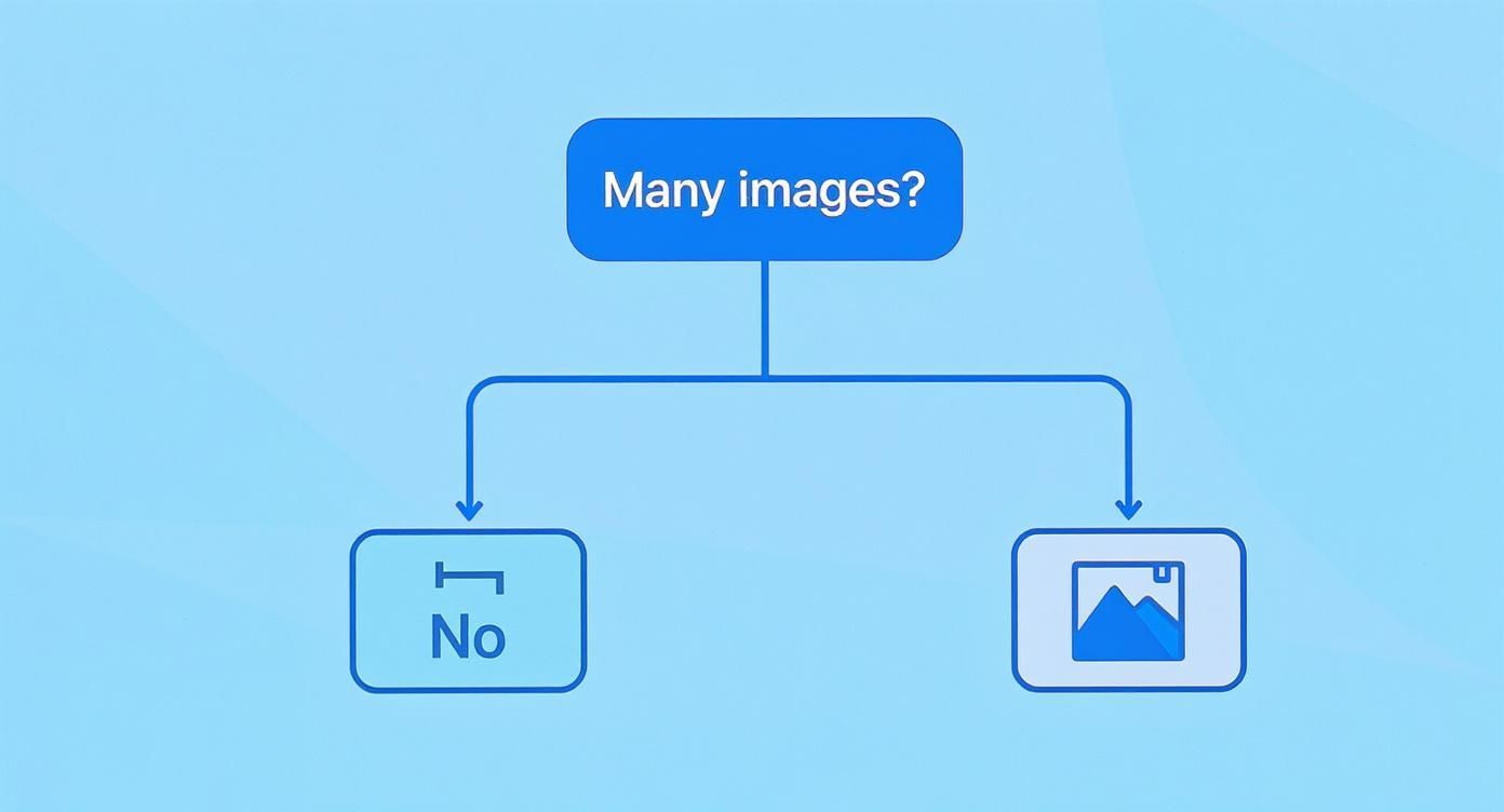 A flowchart titled 'Many images?' showing two paths: one labeled 'No' with an individual item icon, and another with an image icon.