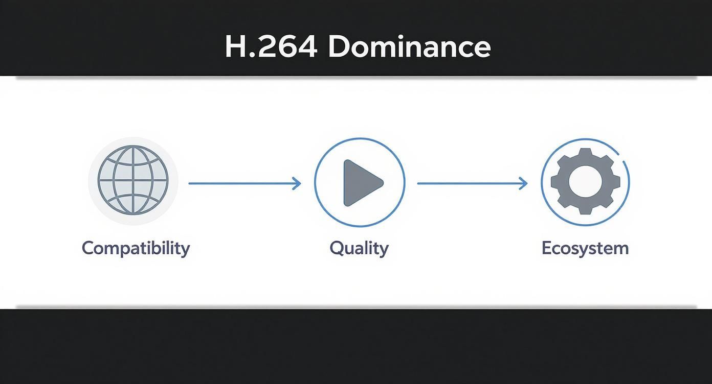 Infographic showing H.264's dominance through compatibility, quality, and its strong ecosystem.