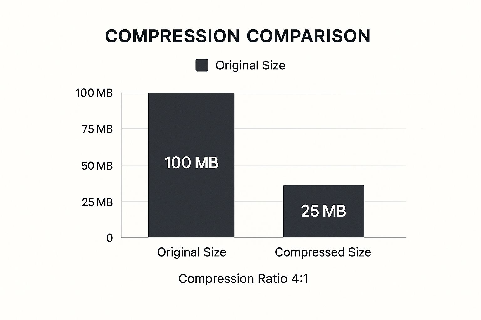 Infographic about compress files on mac