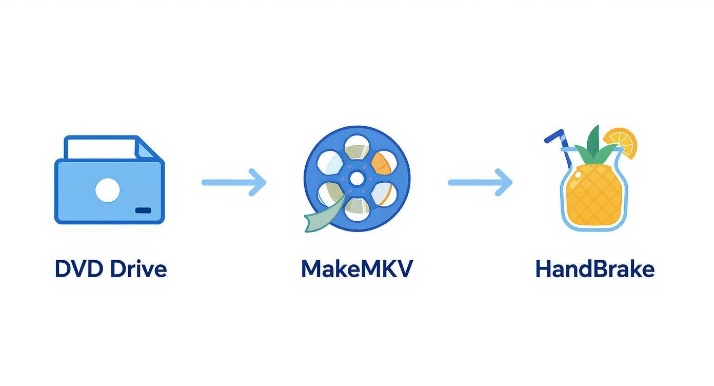 Infographic about how to rip dvds to a mac
