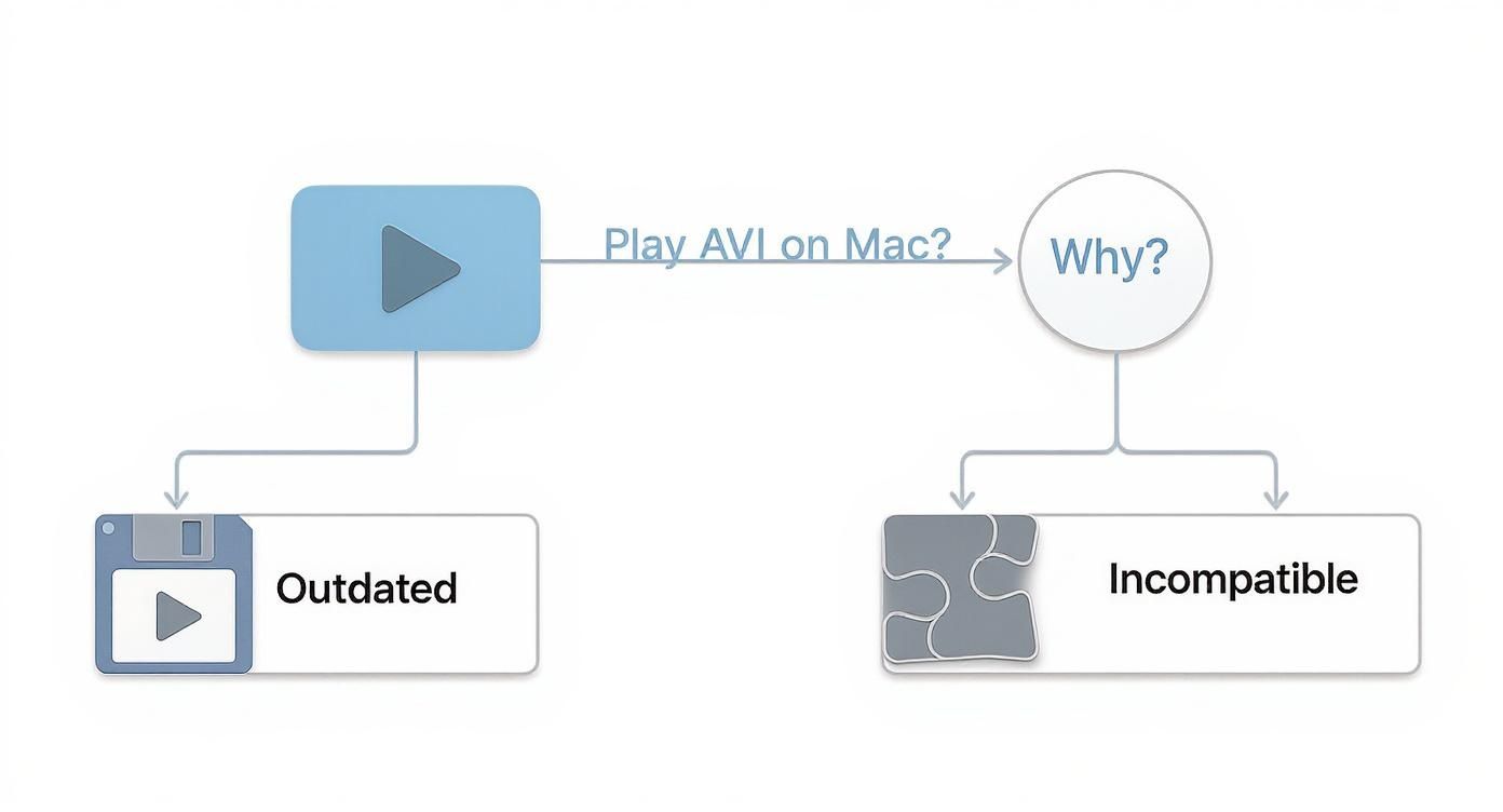 Flowchart showing reasons why AVI files don't play on Mac: outdated and incompatible formats