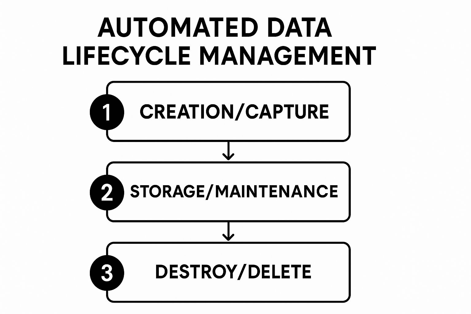 Infographic showing key data about Data Lifecycle Management