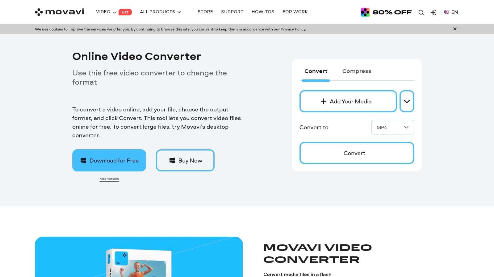 Movavi Video Converter